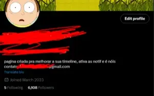Página no Twitter - 6k seguidores com Engajamento Alto