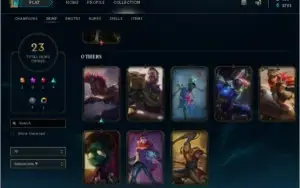 CONTA LVL 30 GOLD 5 80 CHAMPS 18 SKINS