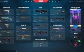 conta valorant 17 skins (skin vandal)