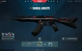 Conta valorant skins bonitas