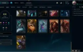 vendo conta gold 2/113 Campeões /44 skins / nivel 222