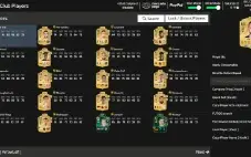 Fc 25 Ultimate Edition + Fc 24 Steam Conta