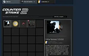 Steam Cs2 (Prime) Lvl 20 Gc E Lvl 10 Faceit