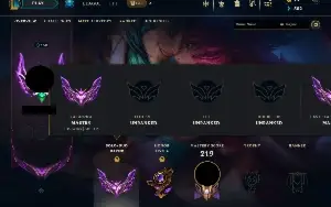 CONTA LOL MESTRE MAIN ATIRADOR/SUPORTE