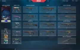 Conta Valorant Bronze,Sem Skin Smurf