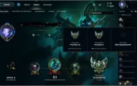 CONTA PLATINA 2