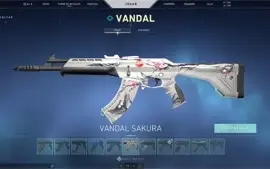 conta de valorant com muitas skins