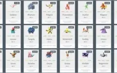 Conta level 24 - Eevee IV 100%