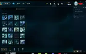 Conta Lol+Valorant 201 Skins No Lol, Algumas Skins No Vava