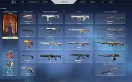 Conta beta valorant, rgx, sublime, beta, muitas skins