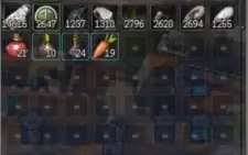 Conta BDO Warrior Nível 59