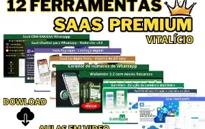 12 Ferramentas Saas Premium - PRO 2024/2025
