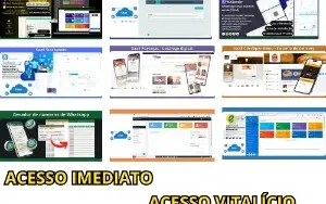 12 Ferramentas Saas Premium - PRO 2024/2025