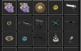 Conta Csgo prime com 5 medalhas