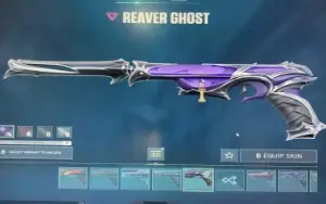 Conta Valorant Muita Skin