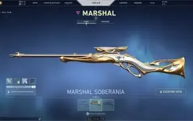 Conta Diamante 1 com várias skins
