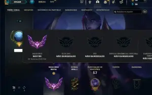 Mestre com 30 Champs e 5 Skins ( 205 PDL )