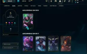 Mestre com 30 Champs e 5 Skins ( 205 PDL )