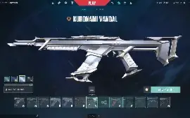 Conta Valorant Full Acesso (+300 reais gastos)