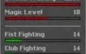 RP lvl 97 - Rowana - ótimos skills com 400k e set