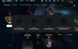 Unranked com 35 Champs e 26 Skins  ( MAIN ADC )