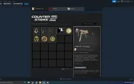 Conta Cs 2 Prime Main Trust Verde