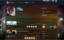 CONTA CSGO, SUPREMO, LVL 19GC, LVL 6 FACEIT