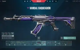 Conta Valorant Cheia de Skins