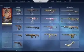 Conta Valorant Muitas skins