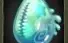 Vendo Dofus Abissal, servidor Tal Kasha
