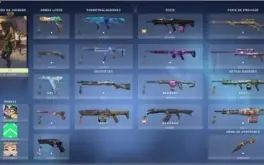Conta Valorant com principiais Skins