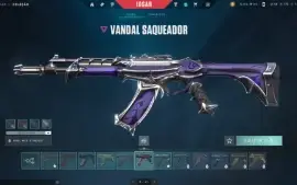 Conta com muitas skins, sherif arcane, vandal champion 1