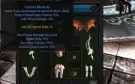Megamu Slayer 200rr lvl 967
