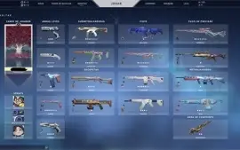 CONTA BETA VALORANT 14 FACAS, 133 SKINS AO TODO