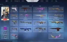 CONTA VALORANT (muitas skins) + LOL (poucas skins)