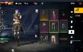 conta free fire antiga, com muitas skins.