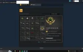 Conta Cs Go Quase 2K Horas Com Broches