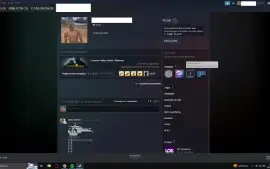 Conta Cs Go Quase 2K Horas Com Broches