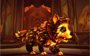 Mascote: Cinder Pup