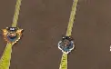 Conta Endgame