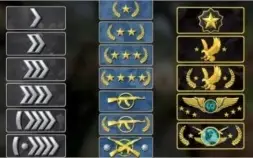 Elojob Cs Go até o águia