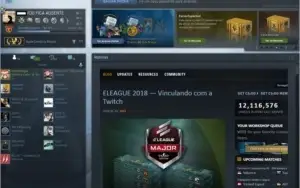 Steam Aguia 2 prime csgo