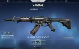 CONTA LOL/VALORANT