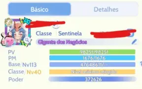 Ragnarok Origin Sentinela / Hunter Lvl 113/40 Prontera 5