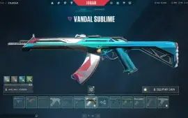Conta de Valorant 3k em skins.