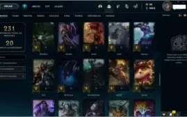 Conta League of legends level 123, 87 Champs,35 skins