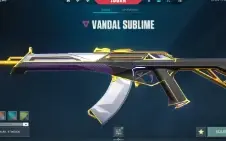 Conta valorant full acesso platina e skins !