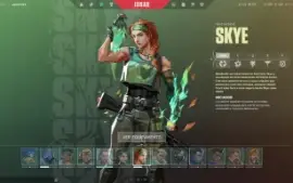 Conta Nfa Valorant + Todos Os Agentes E Varias Skins