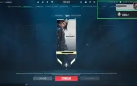 Conta Nfa Valorant + Todos Os Agentes E Varias Skins