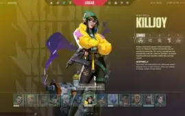 Conta Nfa Valorant + Todos Os Agentes E Varias Skins